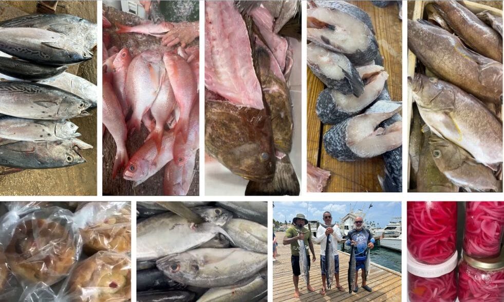 Fresh Fish on Sale Monday Morning at Campeon Self Service in Aruba