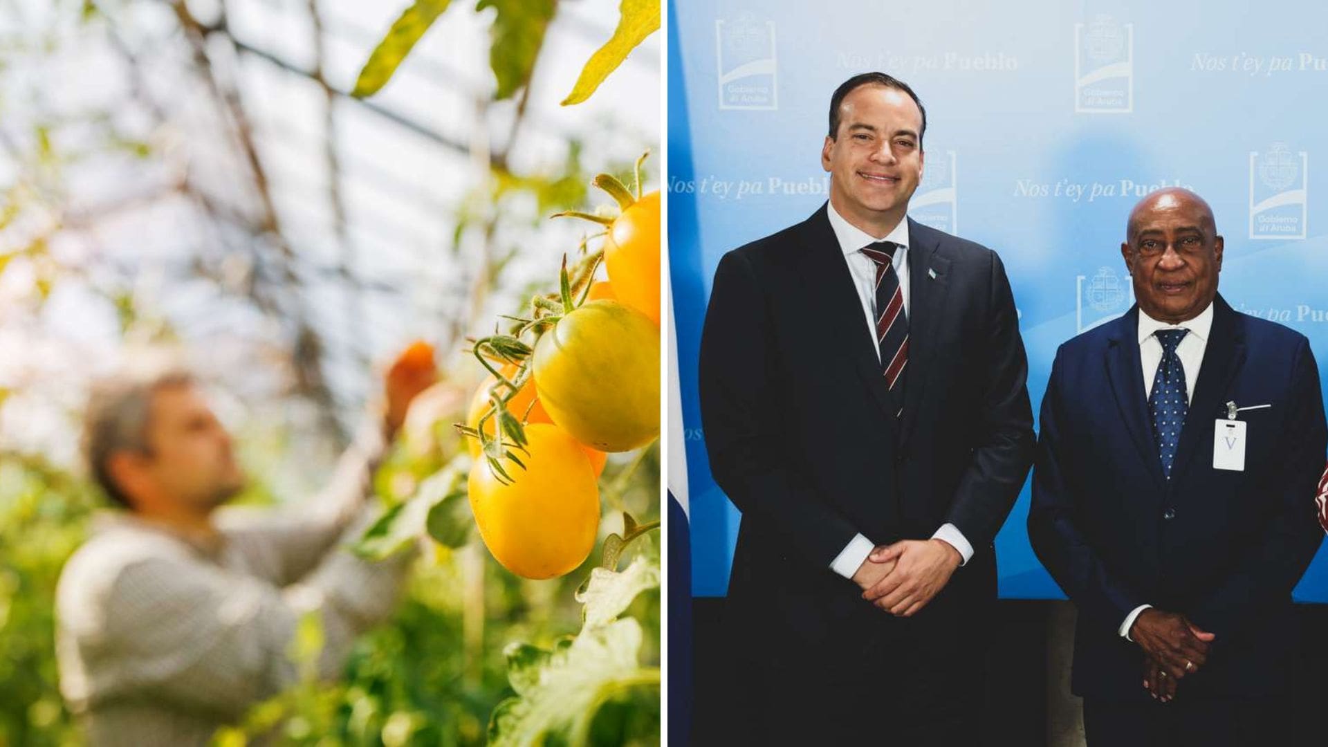 Aruba Prepares to Join Santo Domingo Commerce Hub Event in 2026