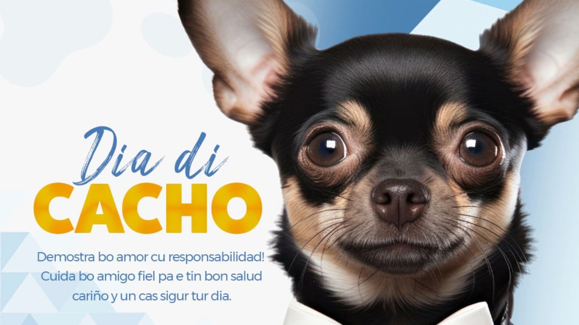 International Dog Day: Owning a Pet Is a Lifelong Commitment