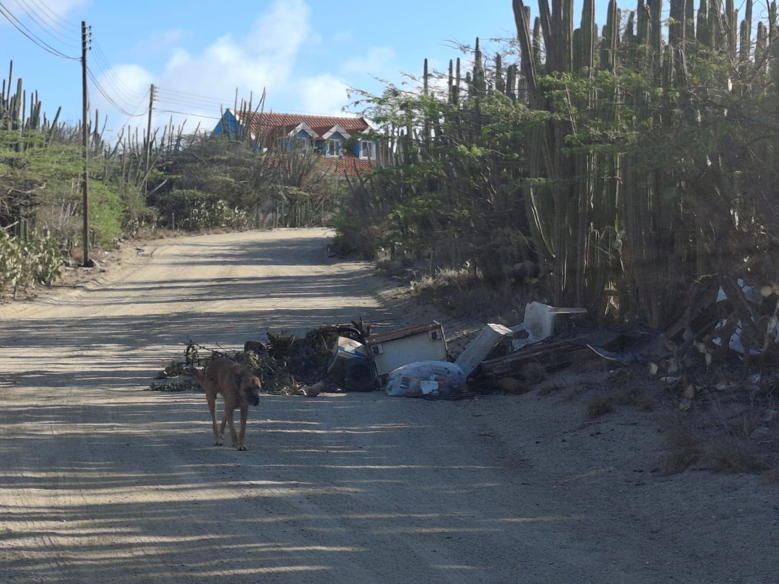 Resident Dumps Trash on a Public Road in Aruba
