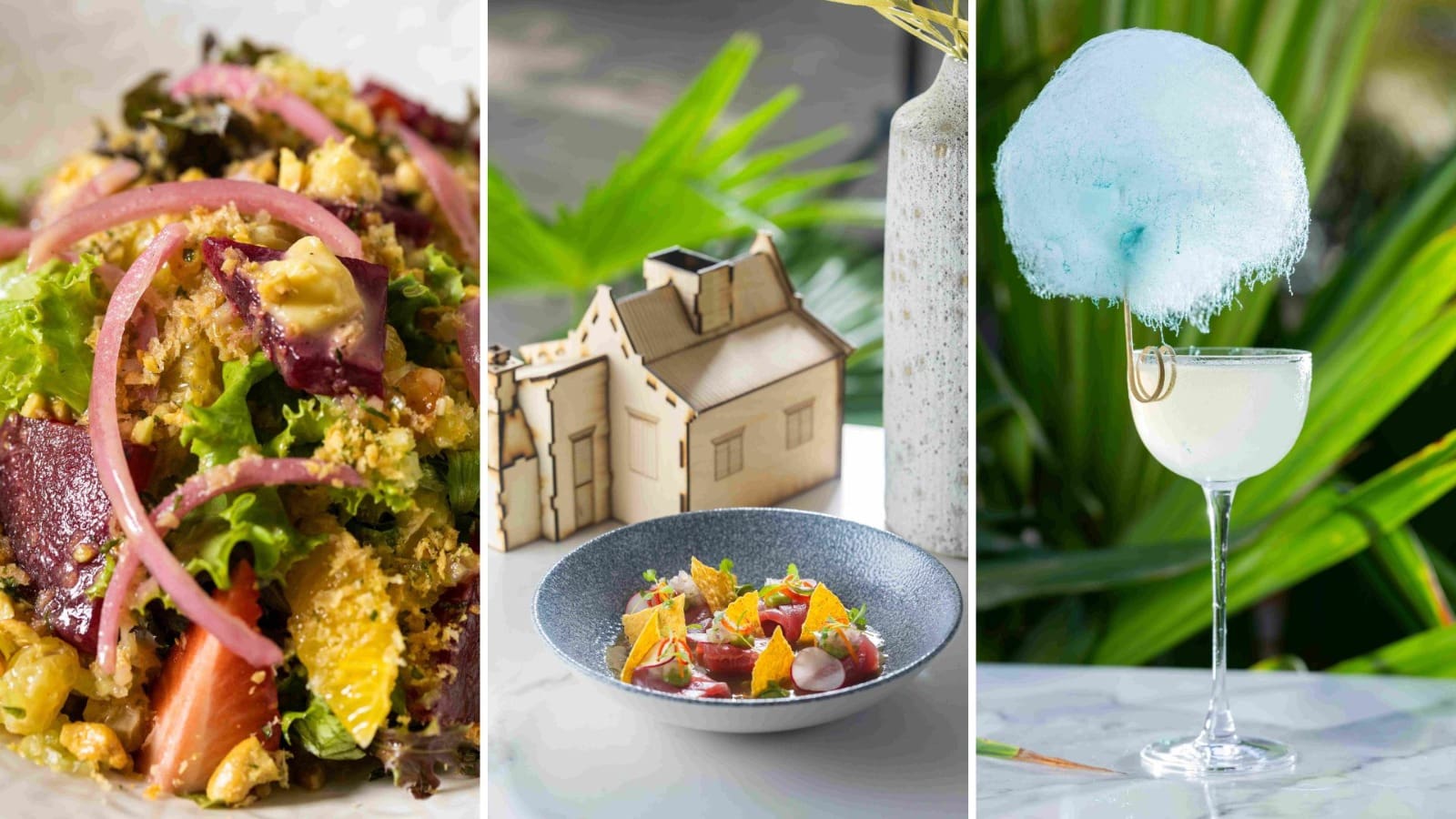 Caya House Brings Caribbean Garden Dining to Aruba
