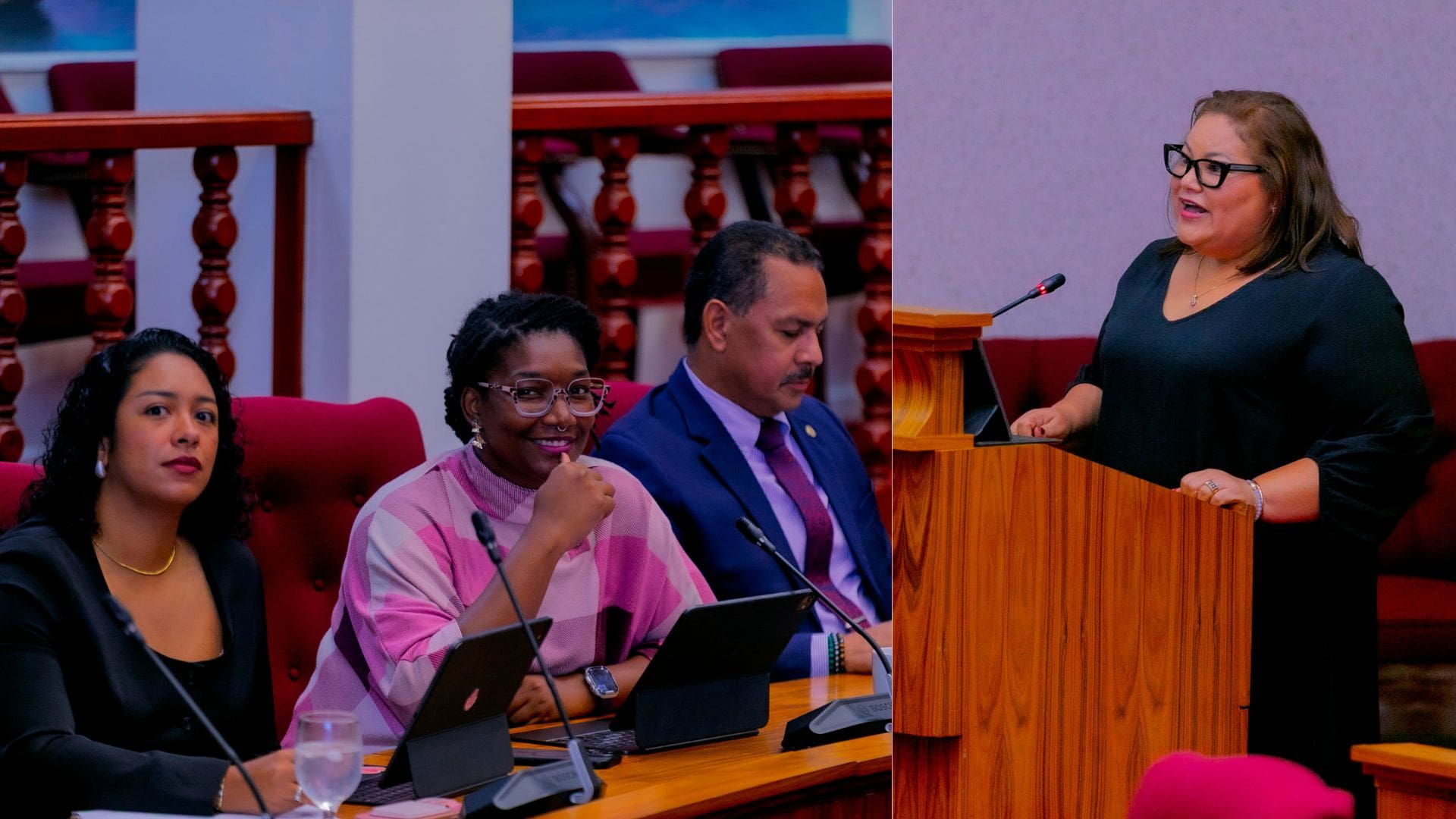 Heated Parliament Session Leaves Opposition Without Finance Committee Chair