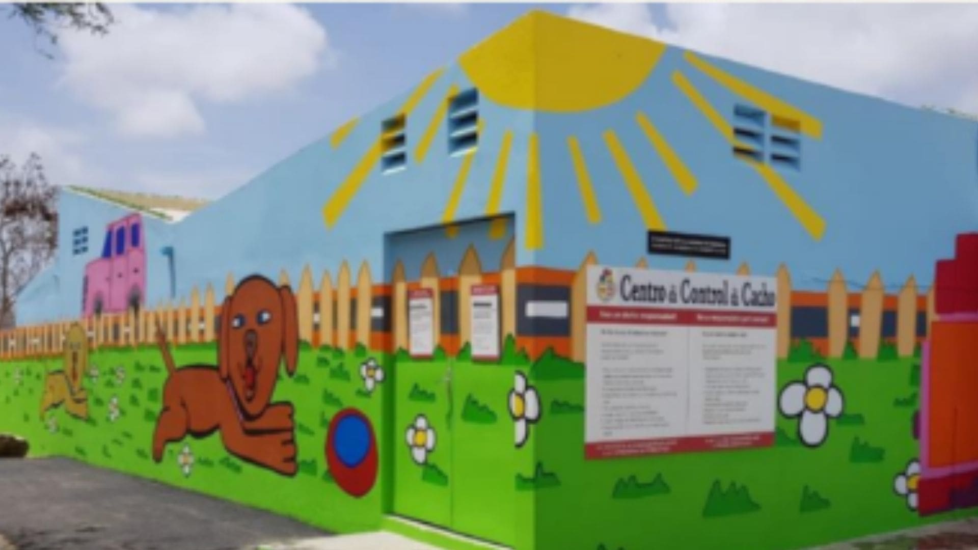 Aruba Health Agency Launches School Art Contest to Promote Responsible Pet Ownership