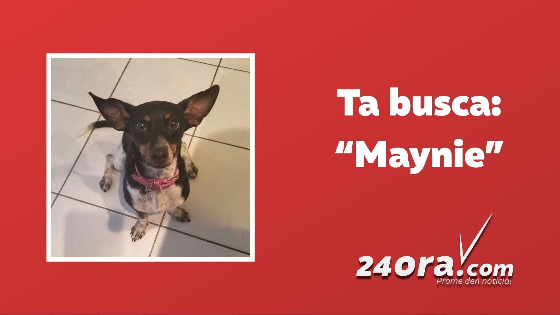Family searches for missing Chihuahua in Paradera area